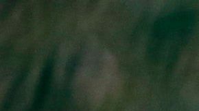 Kim no acudió a la tradicional celebración del aniversario del nacimiento de su abuelo.