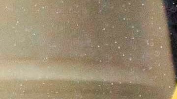 Protestas en Michigan