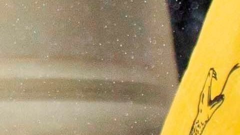 Protestas en Michigan