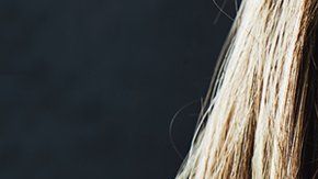 El aumento de las temperaturas puede empeorar el estado de ánimo .