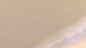 111214978_ants-main-web