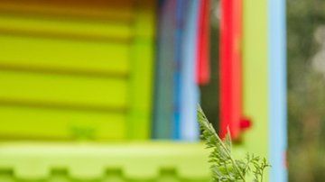 En el caso de los perros es posible, pero la cosa se complica con los gatos.