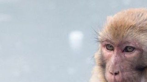 112161178_whatsubject