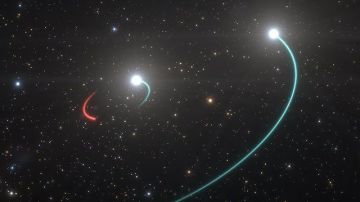Derechos de autor de la imagenESO/L.CALÇADA
Image caption
Este es el sistema estelar HR 6819. La estrella interna (azul) orbita al agujero negro (rojo). La estrella externa (también en azul) gira en torno a los dos.