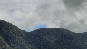 112235961_gettyimages-125141582