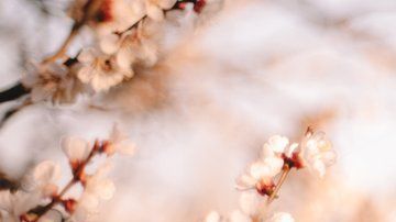 La pérdida del olfato es reversible y la mayoría de personas deben recuperarlo en un máximo de dos meses.