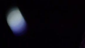 El sábado pasado Elon Musk amenazó con trasladar la planta estadounidense a otro estado si eso le permitía retomar la producción.