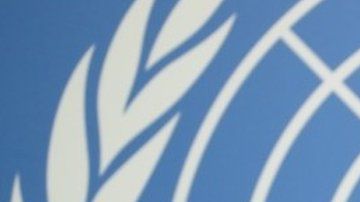 112263569_mediaitem112263568