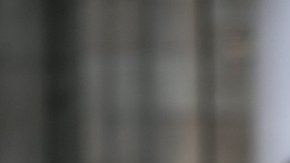 Conocer la verdadera dimensión del problema es fundamental para comprender dónde estamos y qué esperar en un futuro cercano.