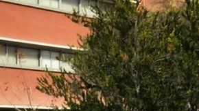 112400664_whatsubject