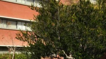 112400664_whatsubject