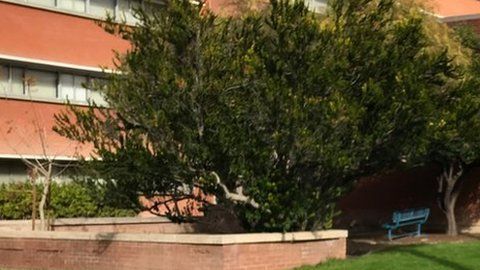 112400664_whatsubject