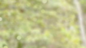 Los contagios de coronavirus en Ecuador.