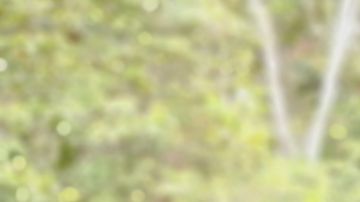 Los contagios de coronavirus en Ecuador.