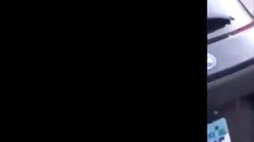 112480662_5f9752d1-97fe-44e3-942d-81fc759a442c