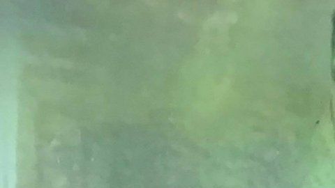 Harry Cole escribió la carta a su madre.