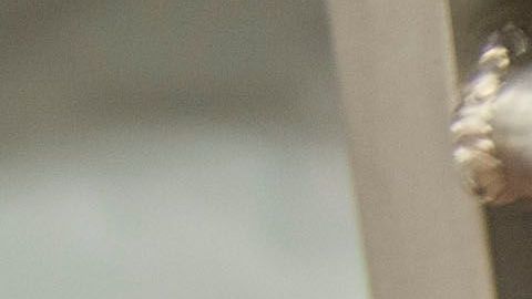 Cadáver. Imagen ilustrativa.