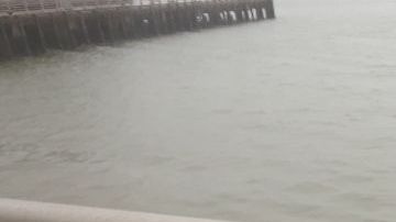 Cartel de búsqueda de los dos niños