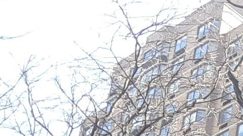 Los desalojos están prohibidos