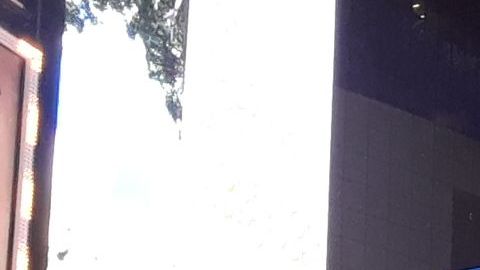 Times Square luce irreconocible sin peatones