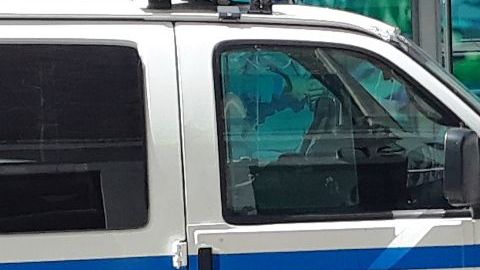 NYPD no ha anunciado arrestos