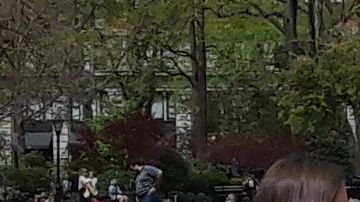 NYPD atenta en los parques llenos hoy