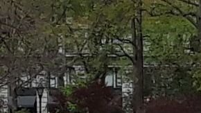 NYPD atenta en los parques llenos hoy