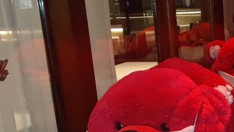 NYC sobrelleva la cuarentena con ironía e imaginación