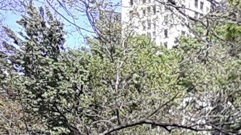 Parques con círculos de cal para el distanciamiento