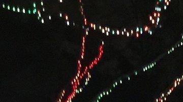 Este lugar es una de las visitas obligadas para los residentes del sur de la Florida para las fiestas de fin de año.