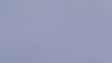 Trump y Pence participan en el informe sobre el coronavirus en EEUU.