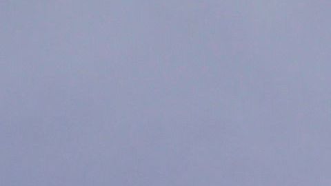 Trump y Pence participan en el informe sobre el coronavirus en EEUU.