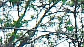 Se concentraron cerca del lugar donde murió George Floyds tras un altercado con la policía.