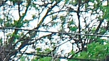 Se concentraron cerca del lugar donde murió George Floyds tras un altercado con la policía.