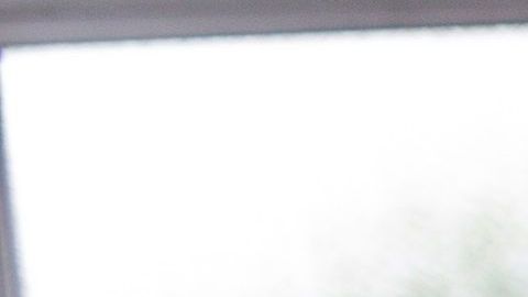 La raza no es el factor principal, ya que hay muchas otras cosas que marcan la diferencia.