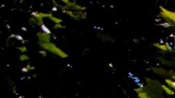 Estudios apuntan a que el uso de mascarilla puede evitar una mayor propagación del virus.