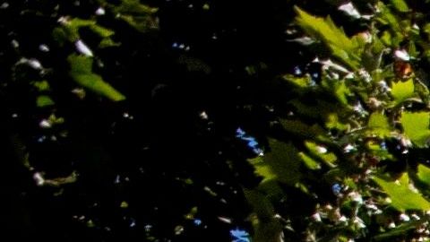 Estudios apuntan a que el uso de mascarilla puede evitar una mayor propagación del virus.