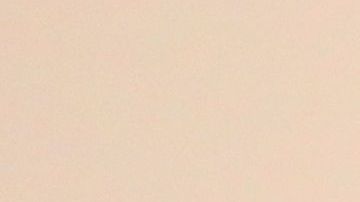 Biden respondió a las acusaciońes