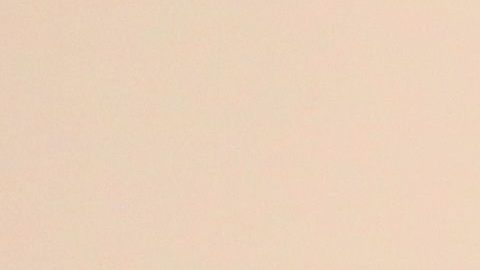 Biden respondió a las acusaciońes