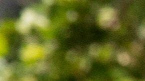 Un manifestante despliega un mensaje desde su auto.