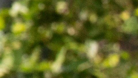 Un manifestante despliega un mensaje desde su auto.