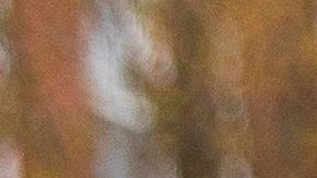 Los cheques con el estímulo económico tarda más en llegar a los buzones.