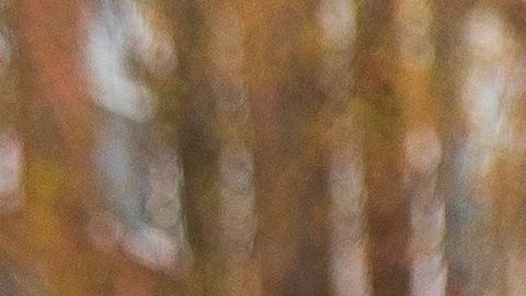 Los cheques con el estímulo económico tarda más en llegar a los buzones.