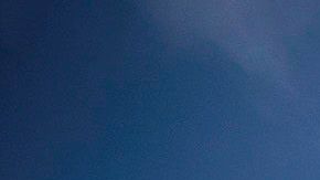 Protesta frente al Ayuntamiento de Los Angeles exige la cancelación del pago de rentas.