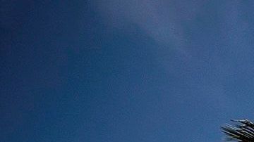 Protesta frente al Ayuntamiento de Los Angeles exige la cancelación del pago de rentas.