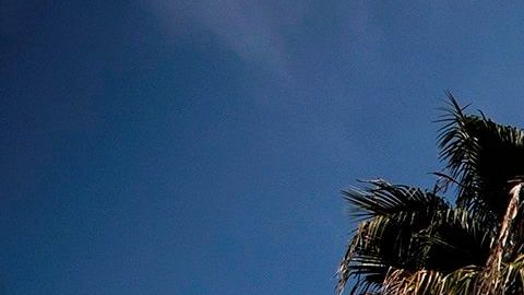 Protesta frente al Ayuntamiento de Los Angeles exige la cancelación del pago de rentas.