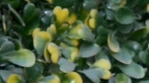 Fernanda Castillo y Erik Hayser.