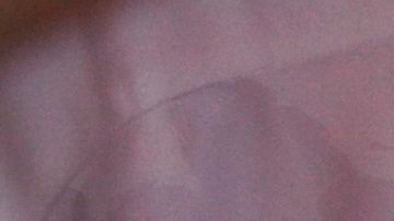 Los establecimientos comerciales abrirían con limitaciones en la fase 4.