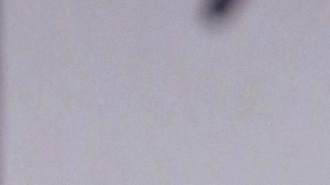 Silvestre Dangond llegó a los 40 años con una fiesta de cumpleaños fuera de lo normal.