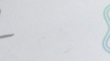 Elizabeth Gutiérrez